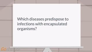 Which diseases predispose to infections with encapsulated organisms [upl. by Ajat]