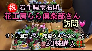 【花工房らら倶楽部さん訪問】サトウ園芸さん、花苗うえたさんのお花購入 [upl. by Kondon332]