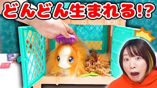 鳴く！光る！赤ちゃんが次々と生まれる😳 海外の巨大サプライズトイが凄すぎる…！！！ [upl. by Debor]