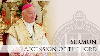 Sermon  How To Desire Heaven amp Papal Infallibility 5924  H E Bishop Fellay [upl. by Falk299]