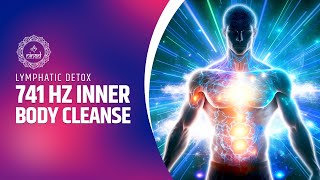 Lymphatic Detox  741 Hz Inner Body Cleanse  Overcome Injury Inflammation Viruses And Infections [upl. by Wollis]