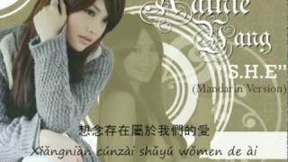 Rainie Yang  SHE mandarin version with lyrics and pinyin [upl. by Wilow788]