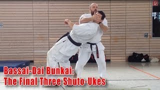 Practical Kata Bunkai Final ShutoUkes of BassaiDai [upl. by Velleman]