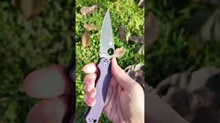 Spyderco Paramilitary 2 Purple Black Cruwear C81GPPRBK2 [upl. by Auginahs258]