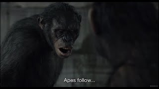 Koba kills Ash Dawn of the Planet of the Apes [upl. by Abeh]