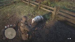 RED DEAD REDEMPTION 2  Hunting Farm Animals [upl. by Nilsoj71]