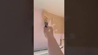 HOW HARD TO REMOVE WALLPAPER BORDER  DIY amp HOME IMPROVEMENT  FILAM FAMILY HOME SHORTS [upl. by Nickolaus]