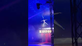 Zippos circus Croydon best show shorts [upl. by Romalda839]