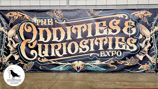 The Oddities and Curiosities Expo 2024 [upl. by Meyers228]