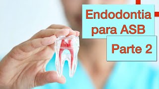 Endodontia para ASB  Parte 2 [upl. by Atal]