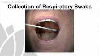 Respiratory Swab Collection Training Video  NSW Health [upl. by Eintirb721]