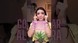 Cómo usar ALOE VERA para peinarte las cejas aloevera diy [upl. by Riba]