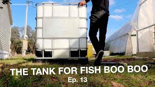 Mineralization Tank For Fish Waste  The Aquaponics God Ep 13 [upl. by Monarski]