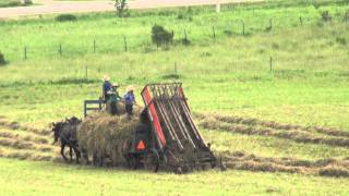 The Amish Way of Making Hay [upl. by Erna]