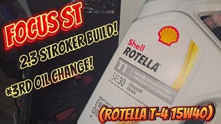 Focus ST  23 Stroker  Stage 3 Cams 3rd Oil Change  WalkAround Updatebuiltenginefocusst [upl. by Assirehc]