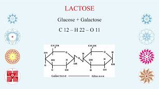 The Seven Essential Chemical Forms of Carbohydrates for Human Digestion Assimilation and Health [upl. by Nosoj]