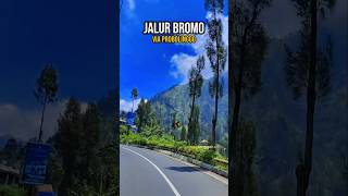 Jalur Bromo Via Probolinggo bromomountain bromotenggersemeru bromo bromoview sewajeepbromo [upl. by Garner]