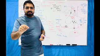 Cholinergic Agonist and Antagonist  part 2 [upl. by Dnarud]