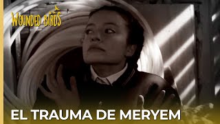 El trauma de Meryem  Omer Sueños Robados Capítulo 71 [upl. by Evets836]