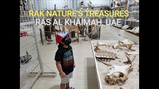 RAK NATURES TREASURES  PART1 RAS AL KHAIMAH UAE [upl. by Einneg]