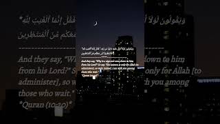 quran recitation reminder tilawat peace qurantranslation qurantilawat holyquran explore [upl. by Neron484]