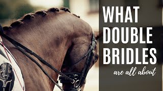 What Double Bridles Are  Equestrian Education [upl. by Brosine]