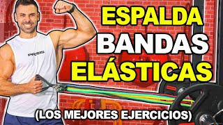 🔴 Los MEJORES Ejercicios BANDAS ELASTICAS  Fortalecer ESPALDA [upl. by Cristobal]