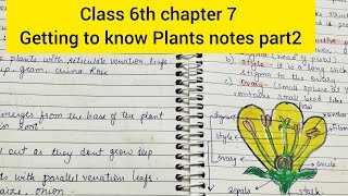 Class 6th chapter 7 Getting to know Plants [upl. by Nautna762]