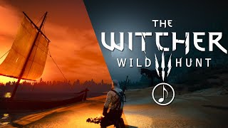 Witcher Meditation1 Hour Atmospheric Ambience🎶DuskNightMorning [upl. by Tnayrb121]