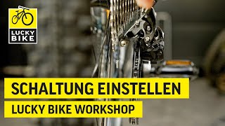 Schaltung und Umwerfer einstellen  Einfach die Fahrradschaltung einstellen [upl. by Lee941]