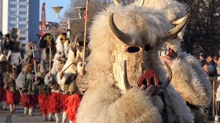 Kukeri festival Surva 2019 in Pernik [upl. by Ahsayn721]