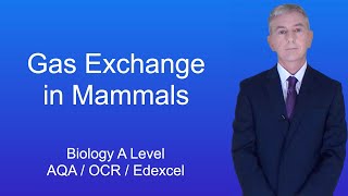 A Level Biology Revision quotGas Exchange in Mammalsquot [upl. by Merow]