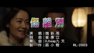 魏新雨  傷離別  DJ V2版  1080PKTV [upl. by Harrie]