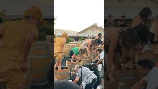 Grape Stomps in Temecula CA AugSep 🍇🎶 Featured Sip Stomp amp Play at Callaway Winery [upl. by Aryan]