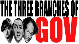 The 3 Branches of Government Explained [upl. by Ursola]