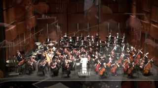 Adagio for Strings  Samuel Barber Theme from quotPlatoonquot [upl. by Hna187]