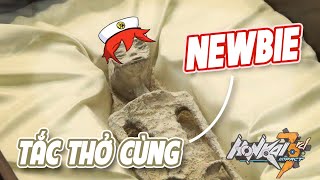 CHUYÊN MỤC TẮC THỞ CÙNG NEWBIE  review account 831 Honkai 69 [upl. by Einram882]