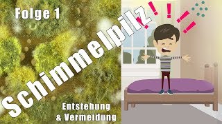 Schimmelpilz in Haus und Wohnung – Wieso Weshalb Warum [upl. by Iturhs397]