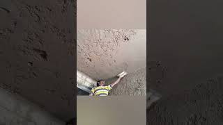 Building Slab Ceiling Perfect Plasteringshorts [upl. by Akeber]