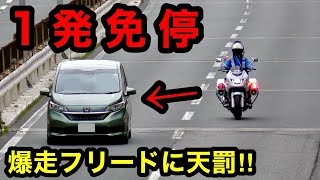 【赤切符・一発免停‼️】一般道を爆走するフリードに天罰‼️ 白バイ 取り締まり [upl. by Williams578]