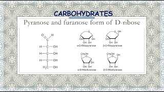 Pyranose and furanose form of Dribose [upl. by Itsirhc]