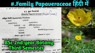 Family Papaveraceae in hindi  BSc 2nd year Botany Third Semester [upl. by Bryner]