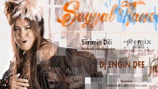 Seyyal Taner feat Dj Engin Dee  Şiirimin Dili  Remix [upl. by Anilam]