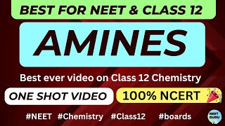 Amines Class 12 One shot video NEET NCERT based [upl. by Eicnahc58]