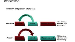 Introduction to Psychology63  Memory Forgetting [upl. by Eiryt]