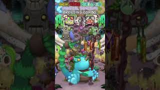 New Rare Carillong On Magical Sanctum 🪄 shorts mysingingmonsters [upl. by Kiefer648]