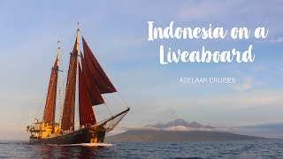 Explore INDONESIA on a LIVEABOARD  Adelaar Sailboat [upl. by Pauline333]