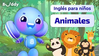 Animales en inglés  Inglés para Niños  Aprende palabras en inglés con Buddyai [upl. by Petersen]