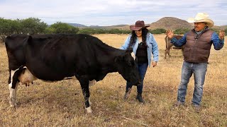 CÁSESE CON UN RANCHERO Y Nunca TENDRÁ CARENCIAS [upl. by Ephraim201]