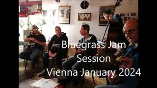 Bluegrass Jam Session  Vienna 2024  Blue Moon of Kentucky [upl. by Aleedis]